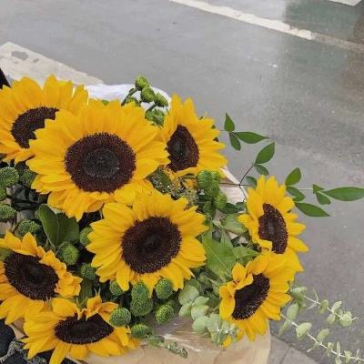 万博max体育官网手机版截图