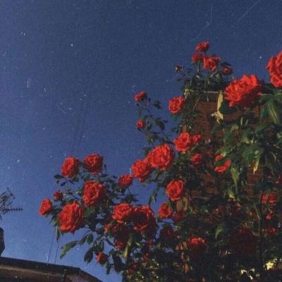 万博max体育官网手机版